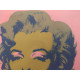 Andy Warhol Lithografie off-set editie 100 cm 57x38