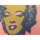 Andy Warhol Lithografie off-set editie 100 cm 57x38