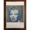 Andy Warhol Lithografie off-set editie 100 cm 57x38