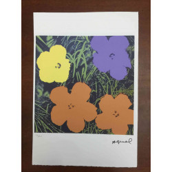 Andy Warhol Litografia off set editie 100 cm 57x38