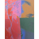 Andy Warhol Litografia off set edizioa 100 cm 57x38