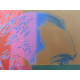Andy Warhol Litografia off set edizioa 100 cm 57x38