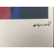 Andy Warhol Litografia off set edizioa 100 cm 57x38