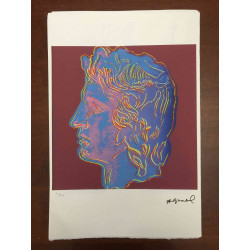Andy Warhol Off set lithograph 100 cm edition 57x38