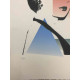 Andy Warhol Lithografie off-set editie 100 cm 57x38