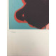 Andy Warhol Litografia off set edició 100 cm 57x38