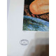 Amedeo Modigliani lithograph off set 50x70 cm Archives Paris