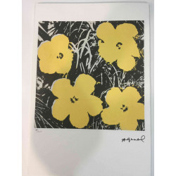 Andy Warhol Off set lithograph 100 cm edition 57x38