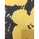 Andy Warhol Off set lithograph 100 cm edition 57x38