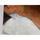 Amedeo Modigliani litho off set 50x70 cm Archief Parijs