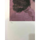 Andy Warhol Litografia off set edizioa 100 cm 57x38