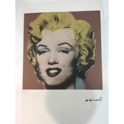 Andy Warhol Off set lithograph 100 cm edition 57x38