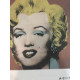 Andy Warhol Off set lithograph 100 cm edition 57x38