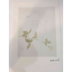 Andy Warhol Lithographie Off-Set-Edition 100 cm 57x38