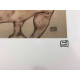 Egon Schiele Litografia off set edizione 200  cm 50x70