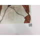 Egon Schiele Lithografie offsetuitgave 200 cm 50x70