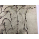 Egon Schiele Litografia off set edició 200 cm 50x70