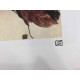 Egon Schiele Off set lithograph edition 200 cm 50x70