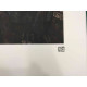 Egon Schiele Litografia off set editie 200 cm 50x70