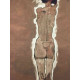 Egon Schiele Litografia off set edizione 200  cm 50x70