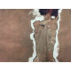 Egon Schiele Litografia off set edizione 200  cm 50x70