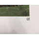 Egon Schiele Litografie ofsetová edice 200 cm 50x70