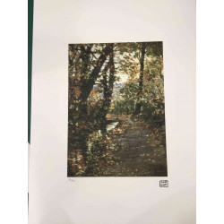 Egon Schiele Off set lithograph edition 200 cm 50x70