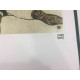 Egon Schiele Off set lithograph edition 200 cm 50x70