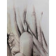 Fernando Botero Litografía off set 50x65 cm certificada
