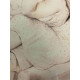 Fernando Botero 50x65 cm-ko off-set litografia ziurtagiria