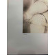 Fernando Botero 50x65 cm-ko off-set litografia ziurtagiria