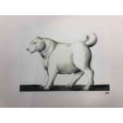 Fernando Botero Litografia off set 50x65 cm certificat