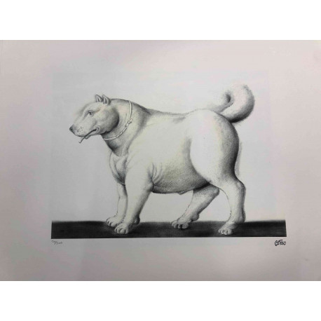 Fernando Botero Litografia off set 50x65 cm certificat