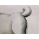 Fernando Botero Litografia off set 50x65 cm certificat