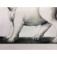 Fernando Botero Litografia off set 50x65 cm certificat