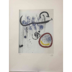 Joan Miro Lithographie Offset 56x76 cm zertifiziert