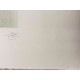 Joan Miro  Litografia off set cm 56x76  certificata