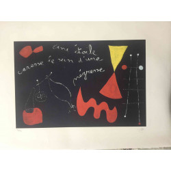 Litografická súprava Joan Miro certifikovaná 56x76 cm