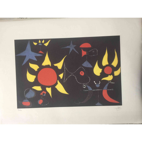 Joan Miro Lithograph off set 56x76 cm certified