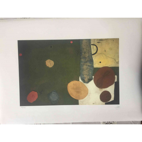 Litografická súprava Joan Miro certifikovaná 56x76 cm