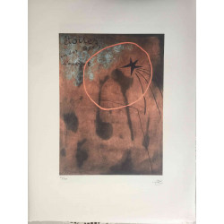 Joan Miro Lithograph off set 56x76 cm certified