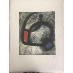 Joan Miro Lithographie Offset 56x76 cm zertifiziert