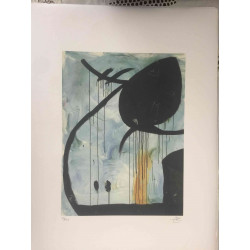Joan Miro Litografía off set 56x76 cm certificado