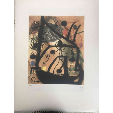 Joan Miro Lithographie Offset 56x76 cm zertifiziert