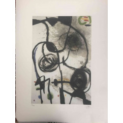 Joan Miro 56x76 cm-ko ziurtagiria
