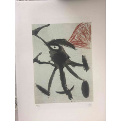 Joan Miro Litografía off set 56x76 cm certificado