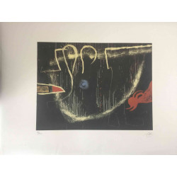 Joan Miro Lithografie off set 56x76 cm gecertificeerd