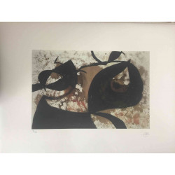 Litografická súprava Joan Miro certifikovaná 56x76 cm