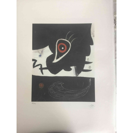 Joan Miro Lithograph off set 56x76 cm certified