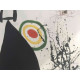 Joan Miro Litografía off set 56x76 cm certificado